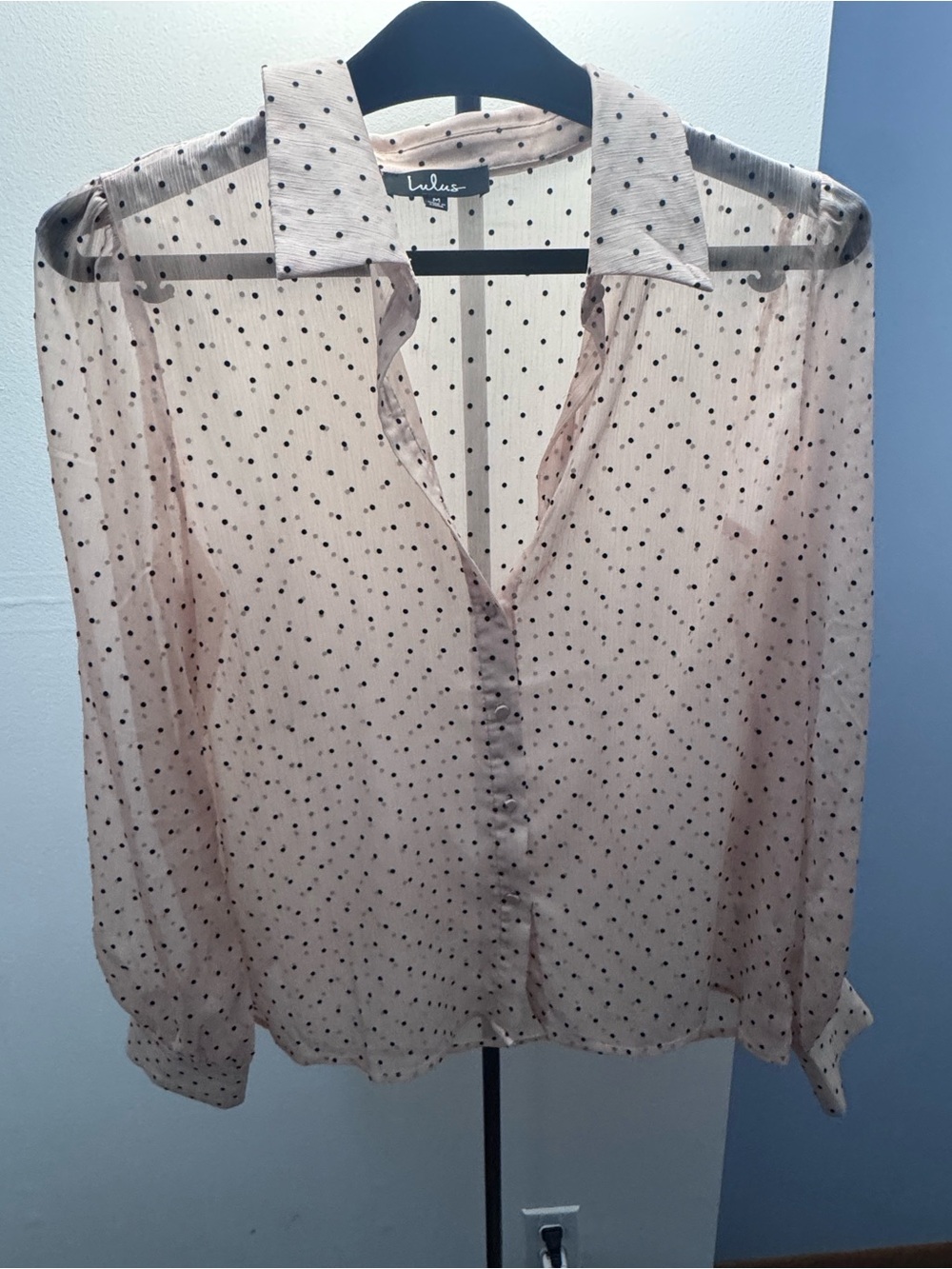 Lulu's Blush Sheer Polka Dot Button-Down Shirt